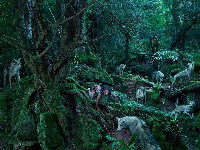 读经明义丨《礼记》:人不学 不知道