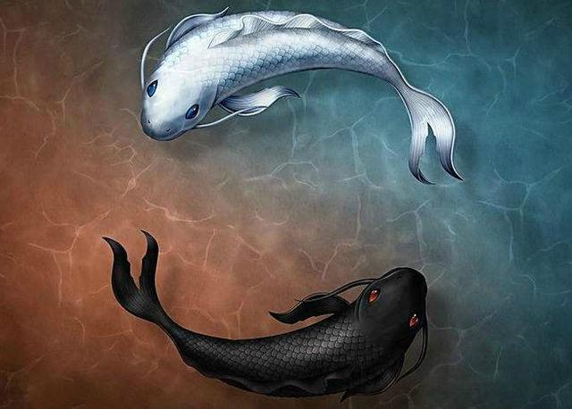 读经明义丨《礼记》:人不学 不知道